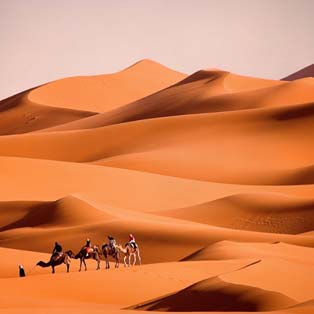 Obrazy na płótnie pustynia