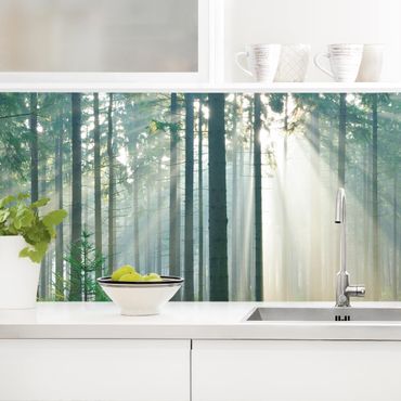 Panel ścienny do kuchni - Świetlany las