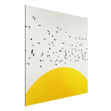 Obraz Alu-Dibond - Stado ptaków na tle żółtego słońca