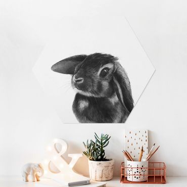 Obraz heksagonalny z Forex - Ilustracja królik czarno-biały rysunek