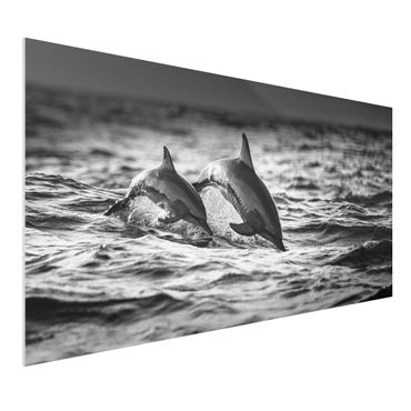 Obraz Forex - Dwa skaczące delfiny
