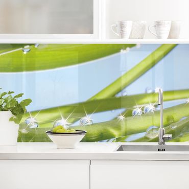 Panel ścienny do kuchni - Świeża zieleń