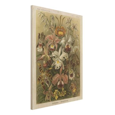 Obraz z drewna - Tablica edukacyjna w stylu vintage Orchidea