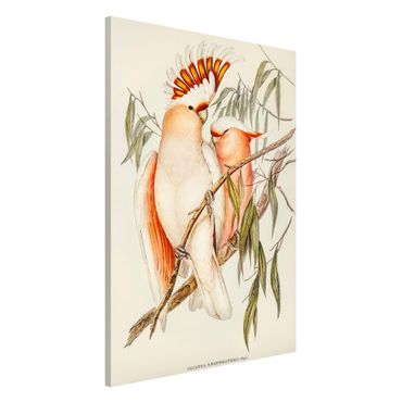 Tablica magnetyczna - Ilustracja w stylu vintage różowy kakadu