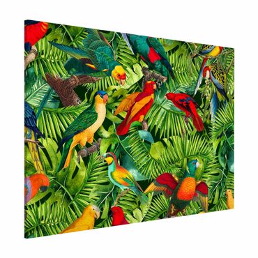 Tablica magnetyczna - Kolorowy kolaż - Papugi w dżungli