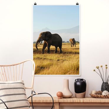 Plakat - Słonie na tle Kilimandżaro w Kenii