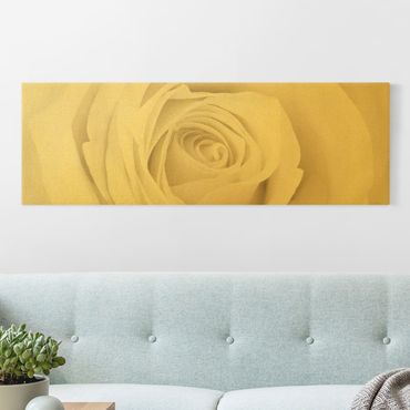 Złoty obraz na płótnie - Piękna biała róża