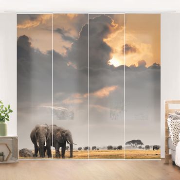 Zasłony panelowe zestaw - Słonie sawanny