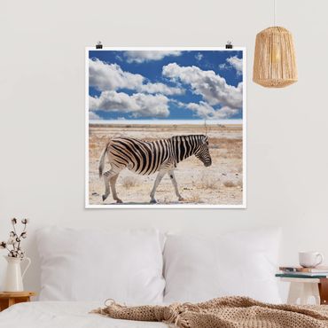 Plakat - Zebra na sawannie