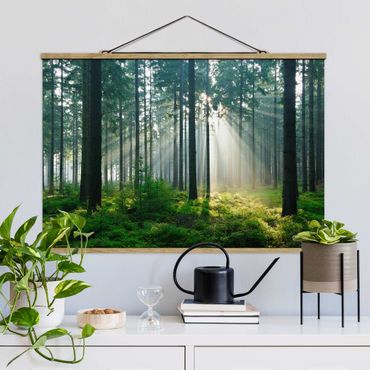 Plakat z wieszakiem - Świetlany las