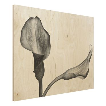 Obraz z drewna - Kalla Zbliżenie czarno-białe