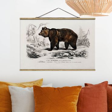 Plakat z wieszakiem - Tablica edukacyjna w stylu vintage Niedźwiedź brunatny