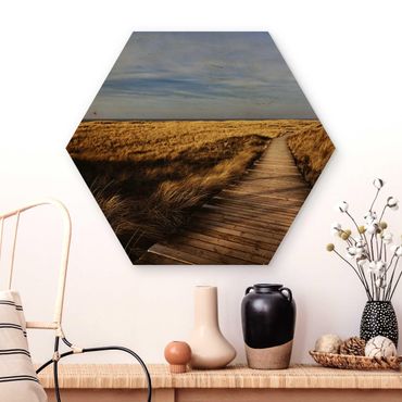 Obraz heksagonalny z drewna - Ścieżka wydmowa na Sylcie