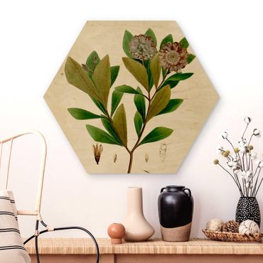 Obraz heksagonalny z drewna - Tablica poglądowa drzew liściastych V