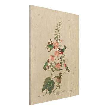 Obraz z drewna - Tablica edukacyjna w stylu vintage Kolibry kolumbijskie