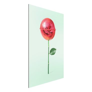 Obraz Alu-Dibond - Róża z lizakiem