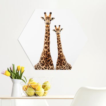 Obraz heksagonalny z Forex - Portait Dwie żyrafy