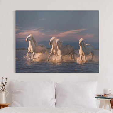 Obraz na płótnie - Dzikie konie w Camargue