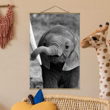 Plakat z wieszakiem - Baby słoń