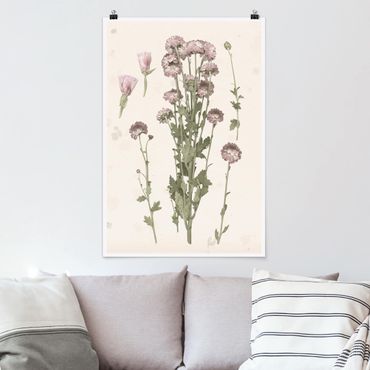 Plakat - Herbarium w kolorze różowym I