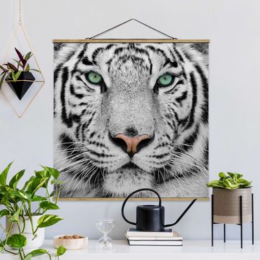 Plakat z wieszakiem - Biały tygrys