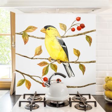 Panel szklany do kuchni - Ptaki i jagody - Złotogłów