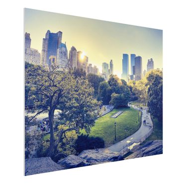 Obraz Forex - Pokojowy Central Park