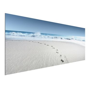 Obraz Alu-Dibond - Ścieżki na piasku