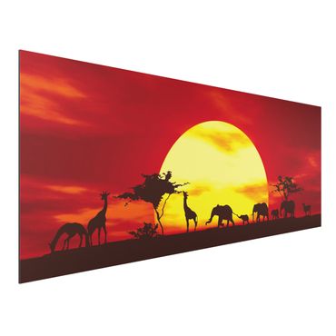 Obraz Alu-Dibond - Karawana o zachodzie słońca