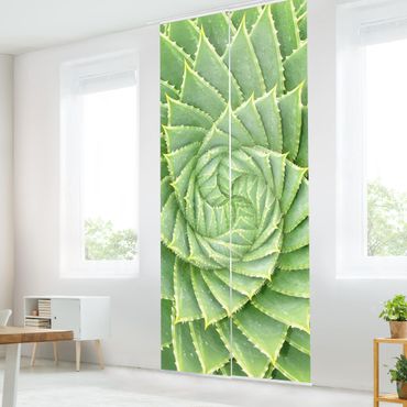 Zasłony panelowe zestaw - Aloes spiralny