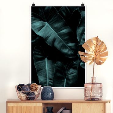 Plakat - Liście dżungli ciemnozielone