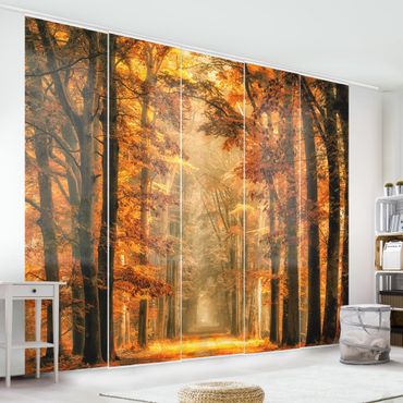 Zasłony panelowe zestaw - Bajkowy las jesienią