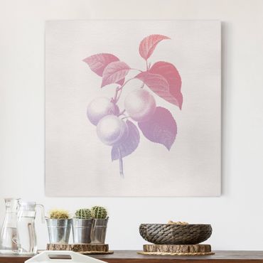 Obraz na płótnie - Nowoczesna botanika w stylu vintage Brzoskwiniowy Różowy Fioletowy