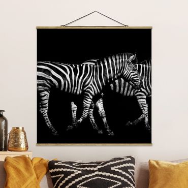 Plakat z wieszakiem - Zebra przed Czarnym