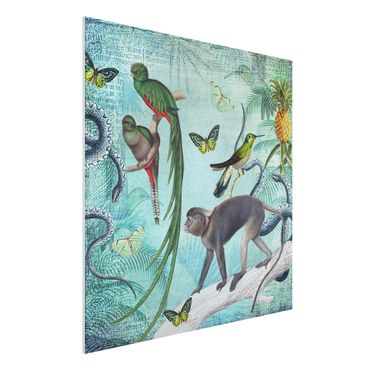 Obraz Forex - Kolaże w stylu kolonialnym - małpy i rajskie ptaki