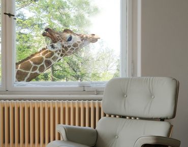 Naklejka na okno - Szukająca żyrafa