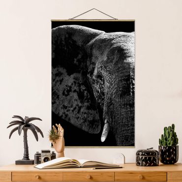 Plakat z wieszakiem - Słoń afrykański czarno-biały