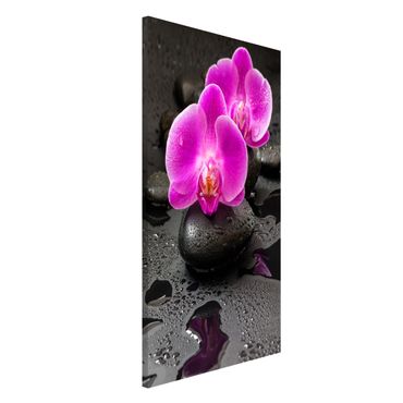 Tablica magnetyczna - Kwiaty różowej orchidei na kamieniach z kroplami