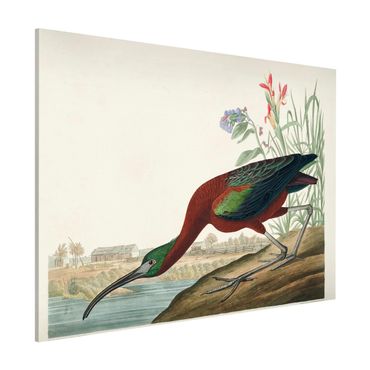Tablica magnetyczna - Tablica edukacyjna w stylu vintage Brązowy ibis