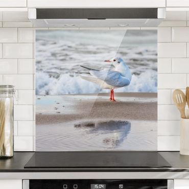Panel szklany do kuchni - Mewa na plaży przed morzem