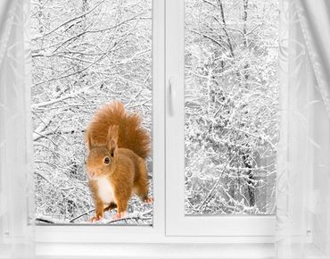 Naklejka na okno - Squirrel II