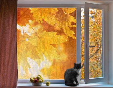 Folia okienna - Jesień