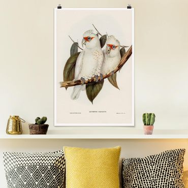 Plakat - Ilustracja w stylu vintage Biały kakadu