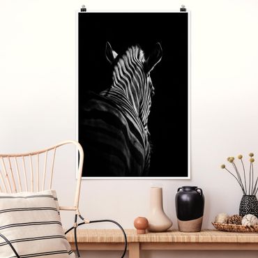 Plakat - Sylwetka zebry ciemnej