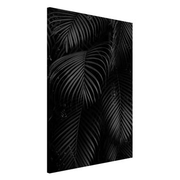 Tablica magnetyczna - Czarne liście palmy