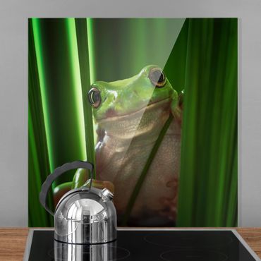 Panel szklany do kuchni - Wesoła żaba