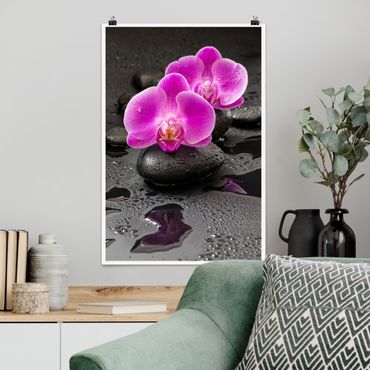 Plakat - Kwiaty różowej orchidei na kamieniach z kroplami