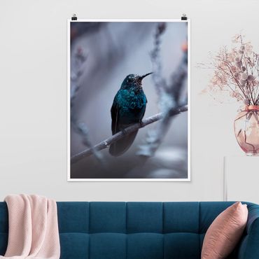 Plakat - Koliber w zimie