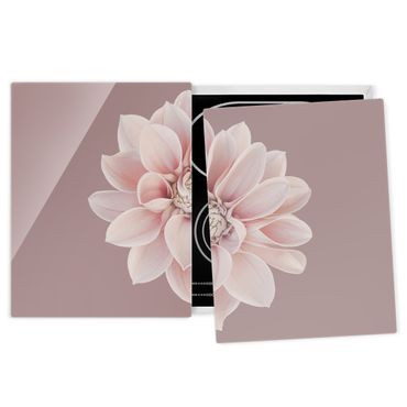 Szklana płyta ochronna na kuchenkę - Kwiat dalii Lawenda Biały Różowy