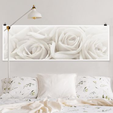 Plakat - Białe róże